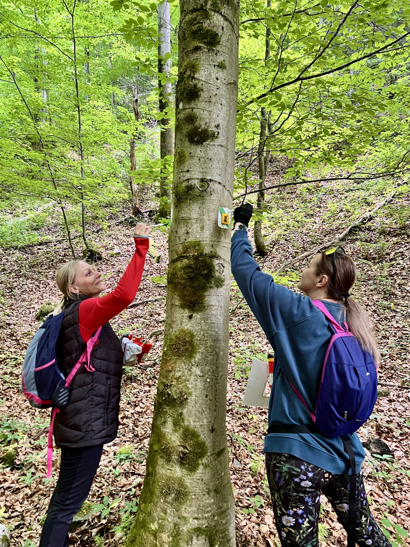 Obnova turistickej trasy Barborská cesta úspešne za nami!